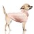 MP1892 DONOVAN Rose Dog.jpg