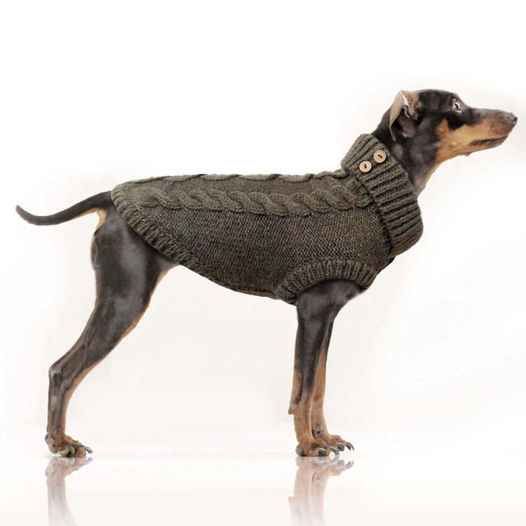 MP1941 DONOVAN Kaki Dog copie.jpg