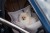 223.jpg