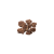 10f3a0f327a4f2ab77707f48d9432afeeb1acd73.png