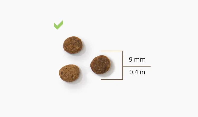 Compatible-with-all-standard-food-pellet-sizes-and-shapes-mobile-1.jpg.webp