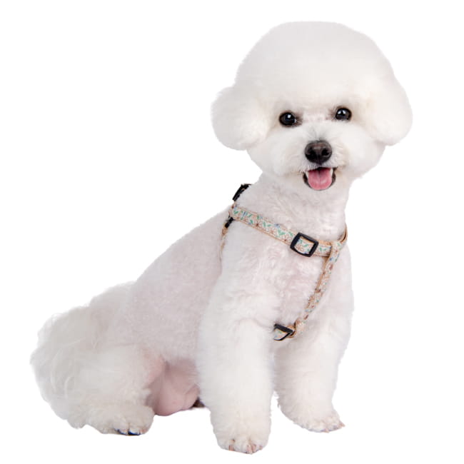 hx2024_be_2.jpg