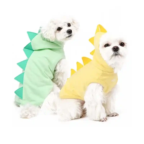 dino-hoodie-styled_800x800_c2e5c546-4543-49db-a688-ac1abc1c7b84_800x.webp