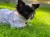 3D562E8E-9D4D-42AB-85B0-D323E43C6C3C-scaled.jpeg