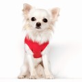 MP1989 - COLINE T-Shirt Dog.jpg