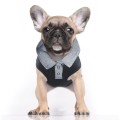 MP1988 - TRISTAN Dog.jpg