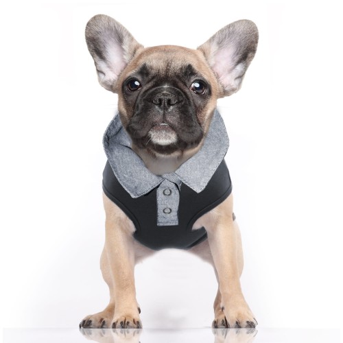 MP1988 - TRISTAN Dog.jpg