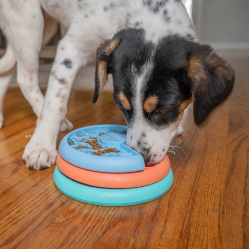 nina ottoson puppy lickin layers 2.jpg
