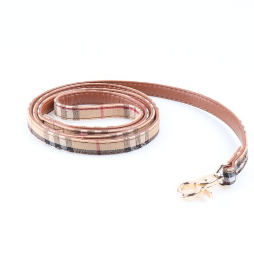 Leash (002).jpg