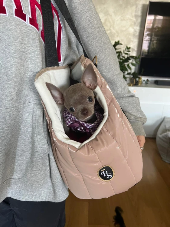 miękka luksusowa torba dla psa i kota petstories new york beżowa