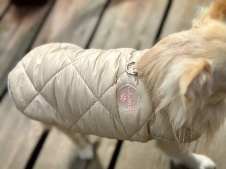 kurtka_dla_psa_cutedog_beżowa.jpeg