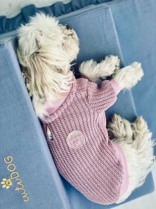 Lovely Dog Sweater New York pink
