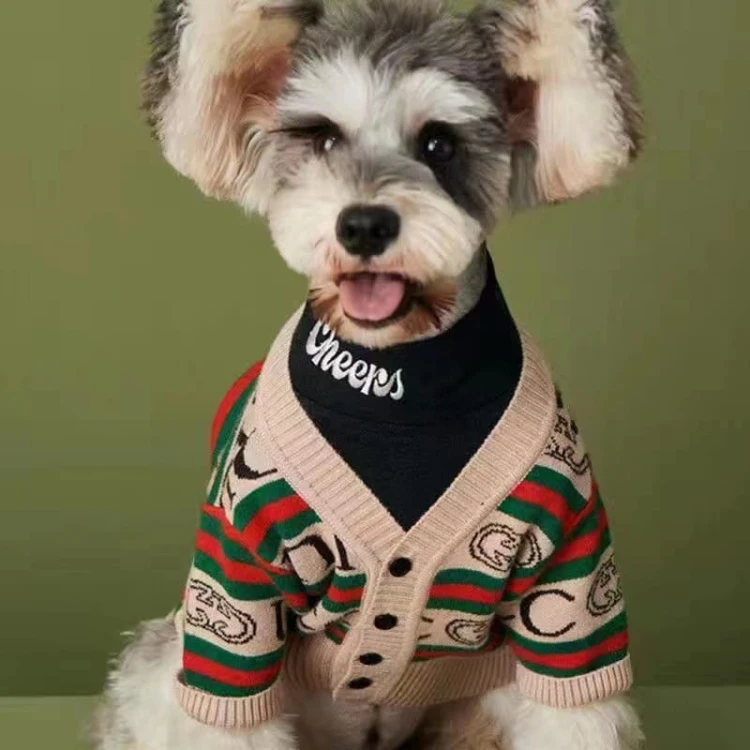 Sweter_dla_psa_GDog_Florence.jpg