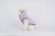 DSC04115.JPG