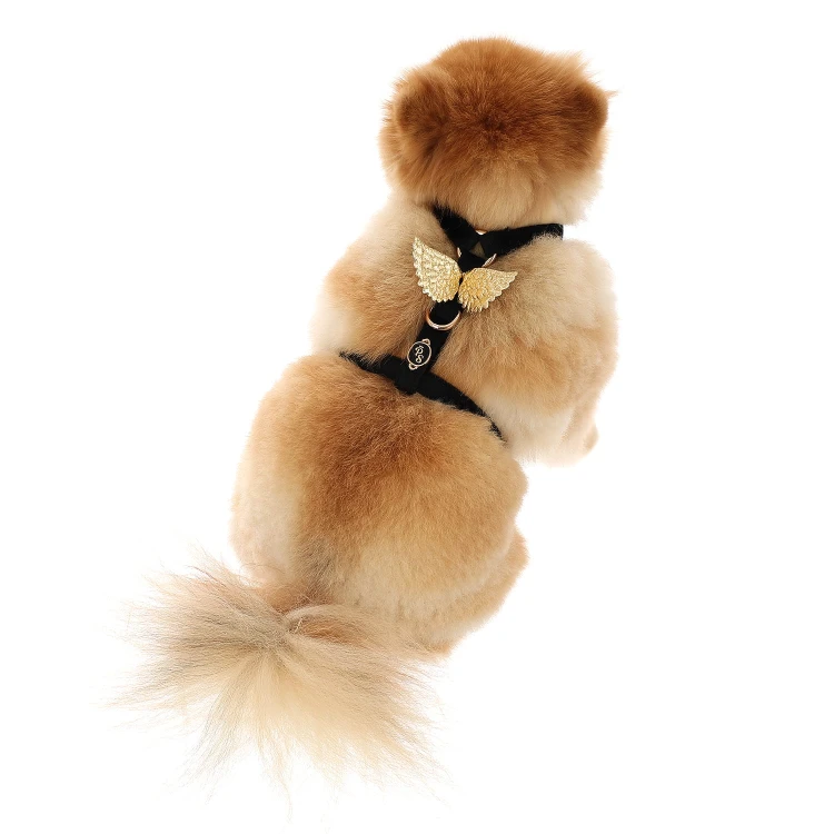 Szelki bezuciskowe Guard dla psa i kota petstories wings czarne
