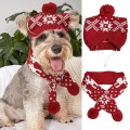 Świąteczna-czapka-szalik-dla-psa-2.jpg