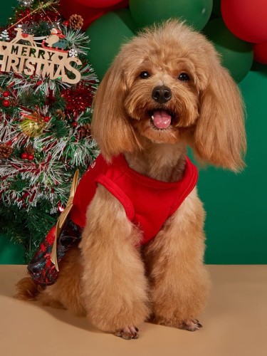 świąteczna-sukienka-dla-psa-xmas-dog.jpg