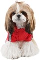 Puppia racer red 3.jpg