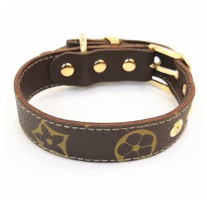 Zestaw  dla psa Chewy Dog: smycz+ obroża