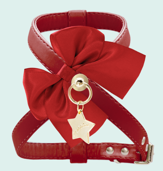 szelki dla psa romantic red