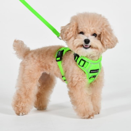 szelki bezuciskowe guard dla psa puppia neon green