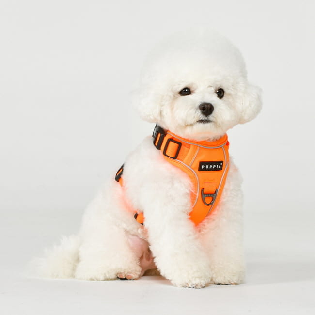 szelki bezuciskowe guard dla psa puppia neon orange