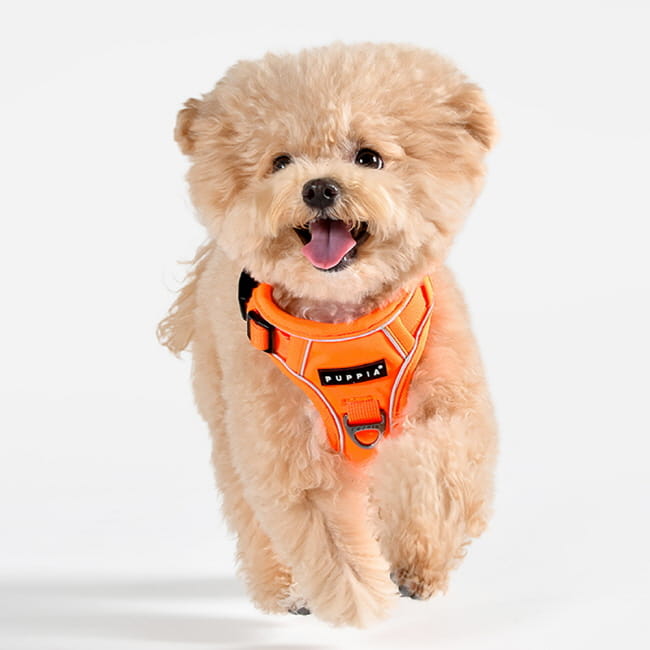 szelki bezuciskowe guard dla psa puppia neon orange