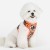 szelki bezuciskowe guard dla psa puppia abstract orange