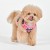 szelki bezuciskowe guard dla psa puppia abstract pink