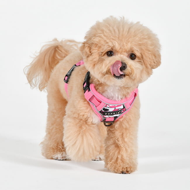 szelki bezuciskowe guard dla psa puppia abstract pink