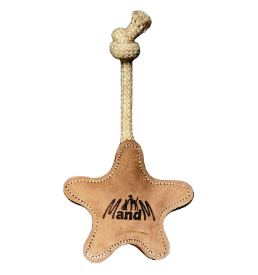 gwiazdka.png