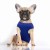 MP2152 - NOAN Dog.jpg