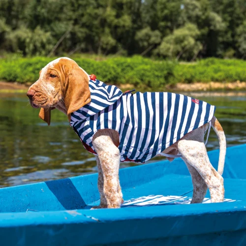 Impermeabile_per_cani_Nautical.webp