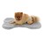 Mata-dla-psa-furry-grey-pomeranian.jpg