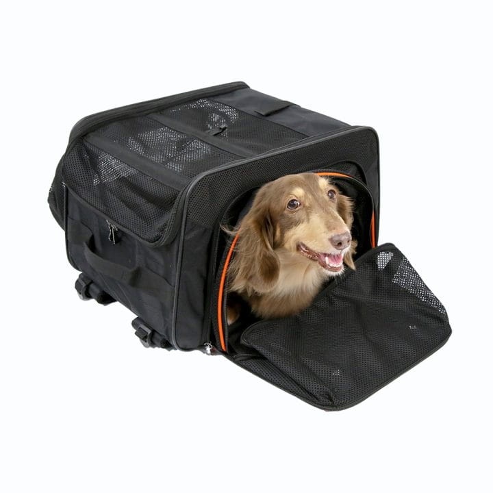 Ibiyaya-Transporter-Plecak-dla-psa-i-kota-3.jpg