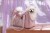 Mademoiselle_travelbag_pink6.jpg