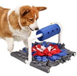 Dog Puzzle Food Dispenser toy.jpg