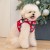 świąteczne lekkie Szelki Puppia Festive Harness B Red