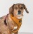 lekkie bezuciskowe Szelki Puppia Irvin Harness A Mustard