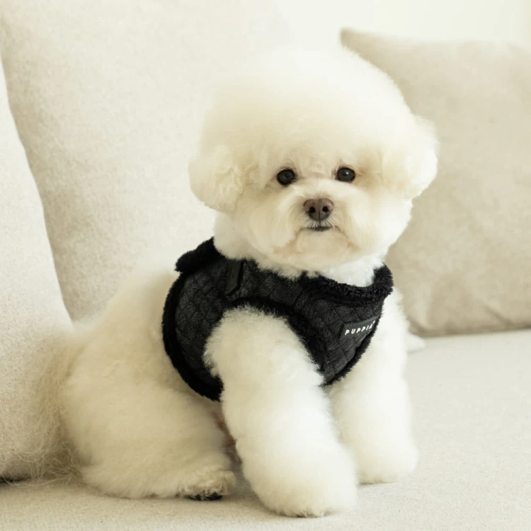 lekkie zimowe ocieplane Szelki kamizelka Puppia Douglas Harness B Black