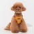 lekkie szelki dla psa Puppia Irvin Harness C Mustard