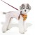 lekkie szelki dla psa Puppia Irvin Harness C Mustard