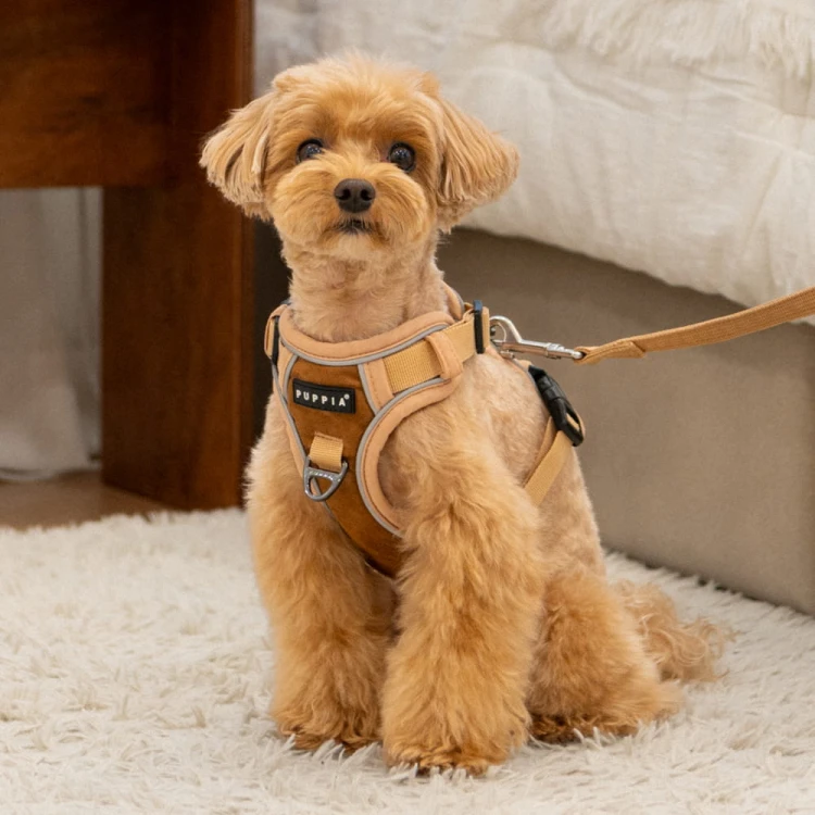 ocieplane szelki dla psa guard puppia terry