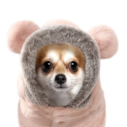 MP228 - LOUISETTE Dog.jpg