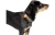 64723_A_02.jpg