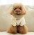 lekka zimowa kurtka + szelki dla psa Puppia Marshmallow Quilted Beige