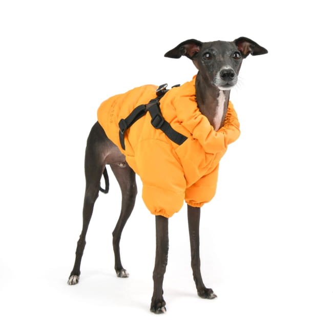 Ultralekka ciepła zimowa kurtka + szelki dla psa Puppia Soft Jumper orange