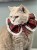 tempImagevf6b7W.jpg