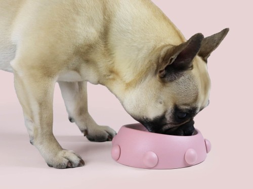 boss nano pink 2.jpg