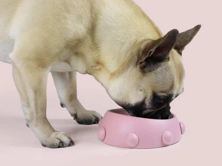 boss nano pink 2.jpg